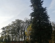 Spotkanie z behawiorystą psów.